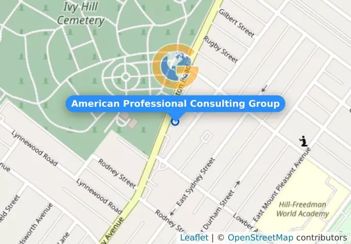 American Professional Consulting Group