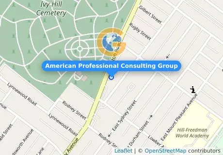 American Professional Consulting Group