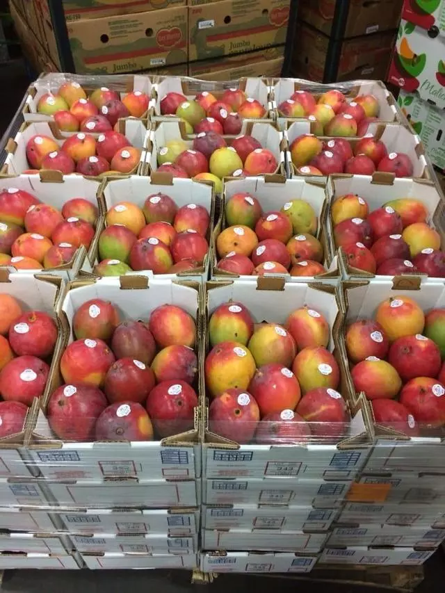 A & N House of Produce