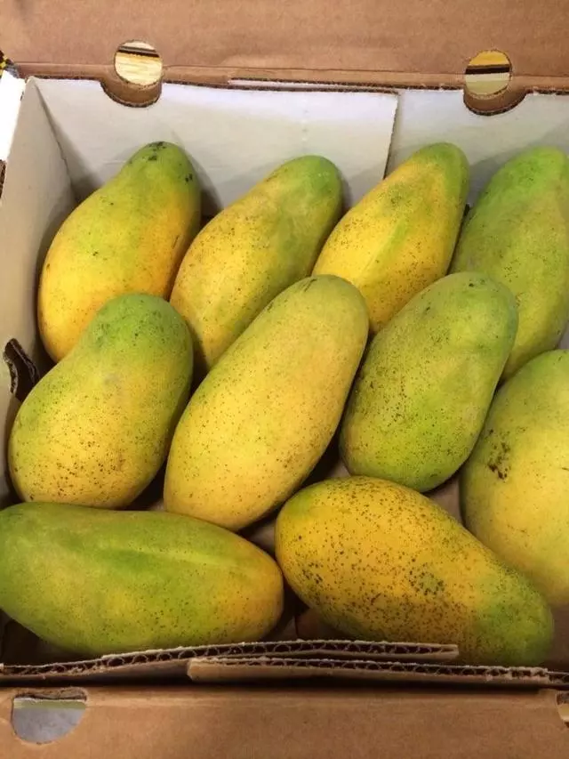 A & N House of Produce