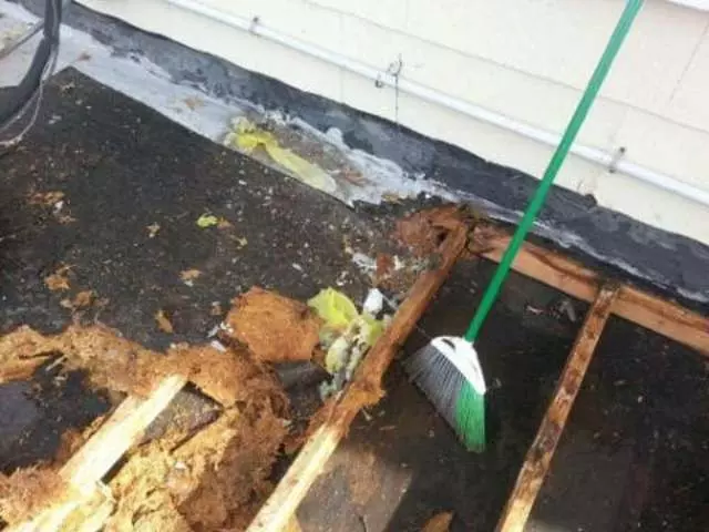All Seasons Roofing