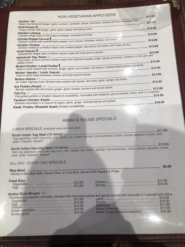 Amma’s South Indian Cuisine