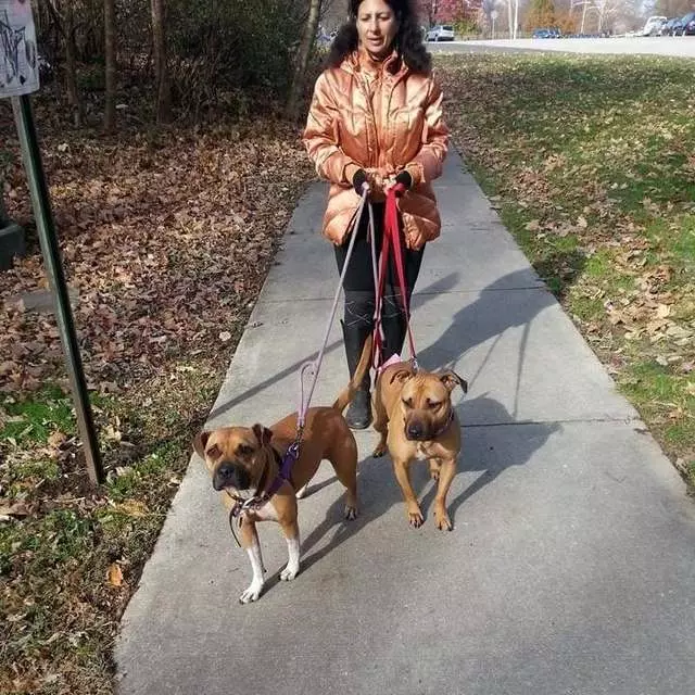 A Walk In The Park