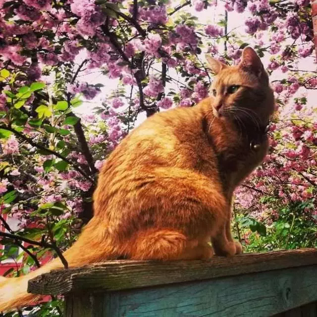 A Walk In The Park