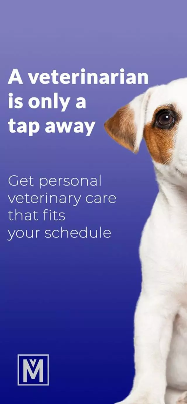 My Virtual Veterinarian