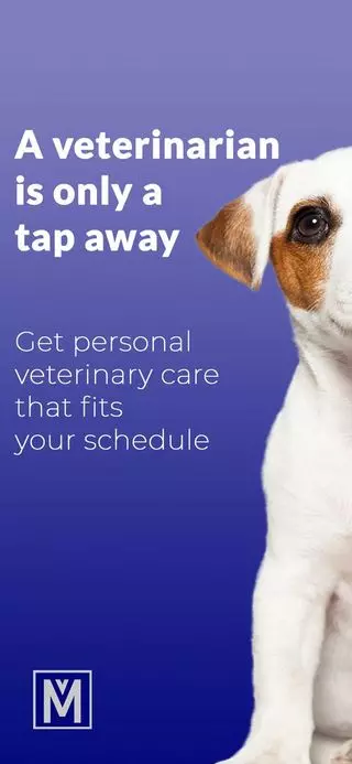 My Virtual Veterinarian