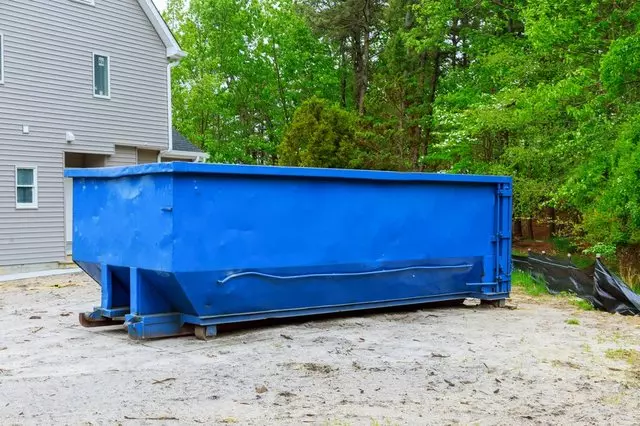 The Dumpster Company