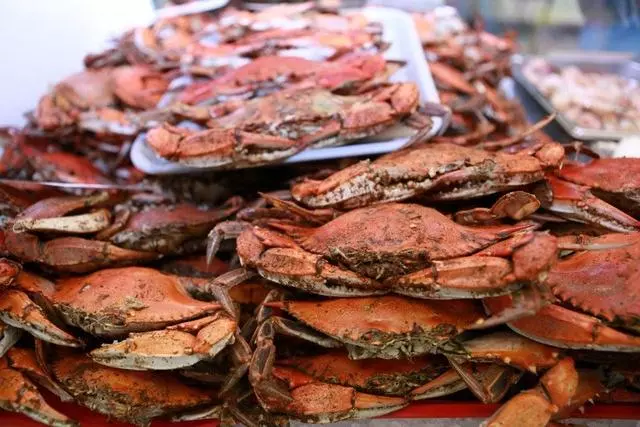 Annies Seafood