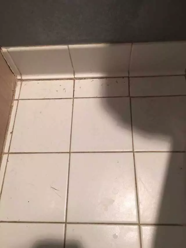 After Party Clean Up Services
