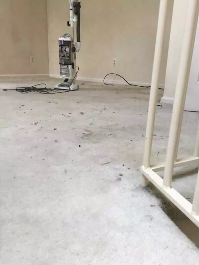 After Party Clean Up Services