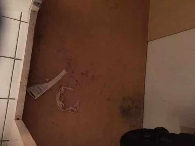 After Party Clean Up Services
