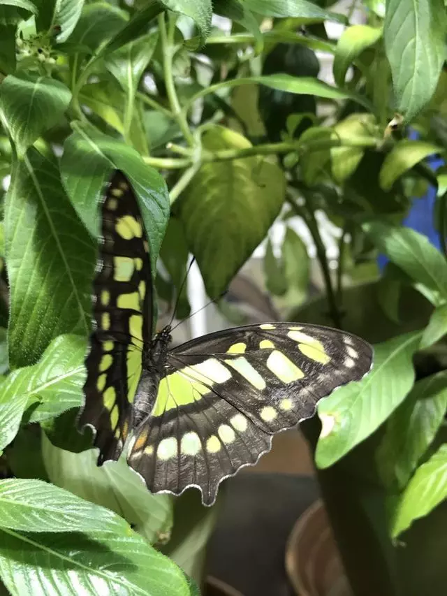 Academy of Natural Sciences