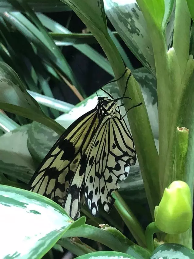 Academy of Natural Sciences