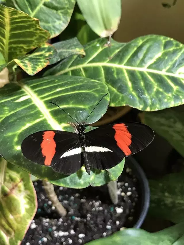 Academy of Natural Sciences