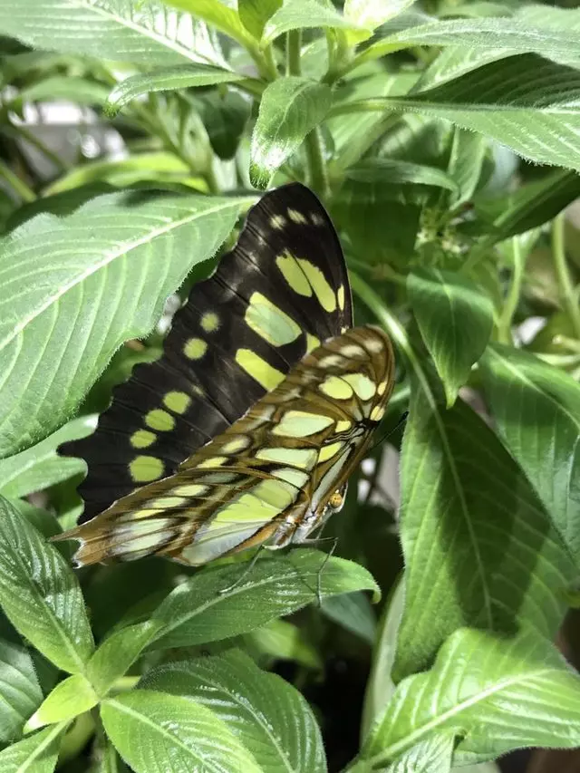 Academy of Natural Sciences