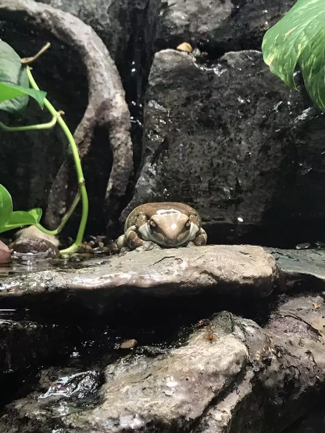 Academy of Natural Sciences