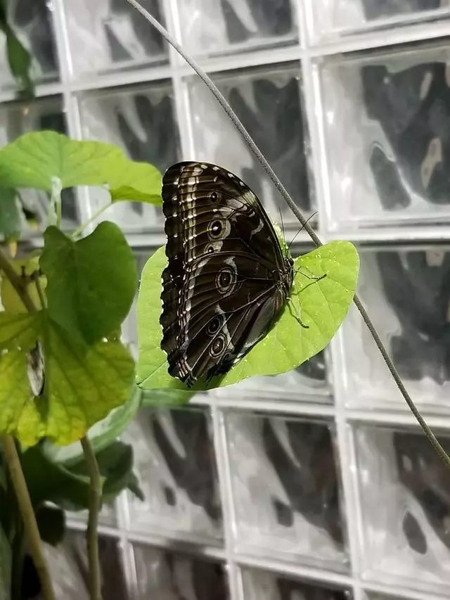 Academy of Natural Sciences