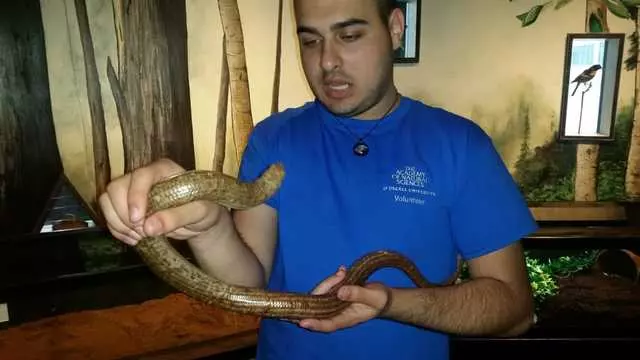Academy of Natural Sciences