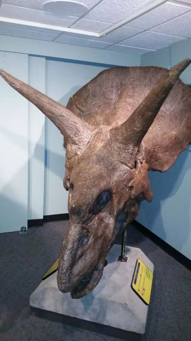 Academy of Natural Sciences