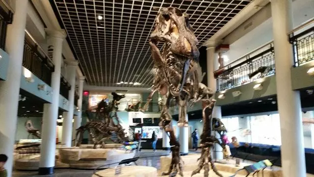 Academy of Natural Sciences