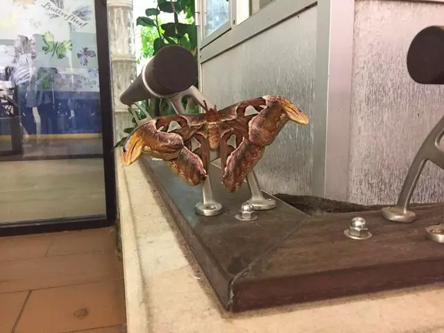 Academy of Natural Sciences