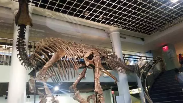 Academy of Natural Sciences