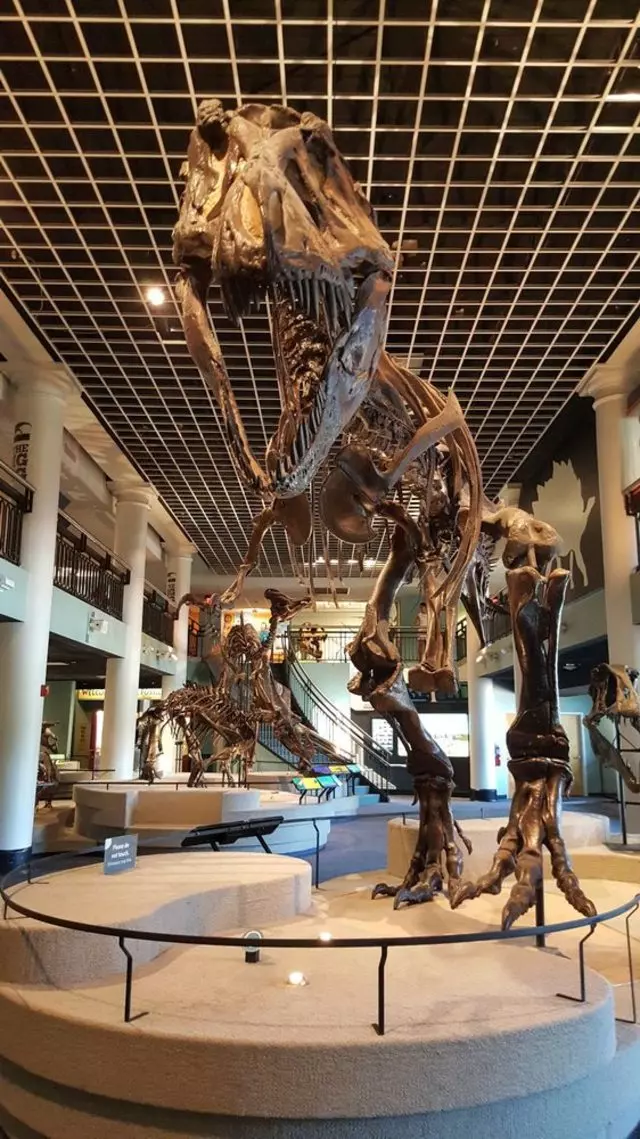 Academy of Natural Sciences