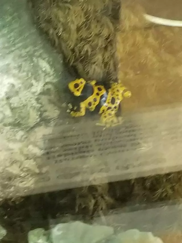 Academy of Natural Sciences