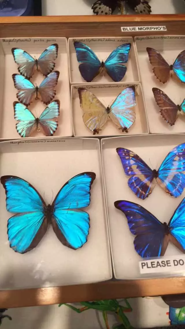 Academy of Natural Sciences