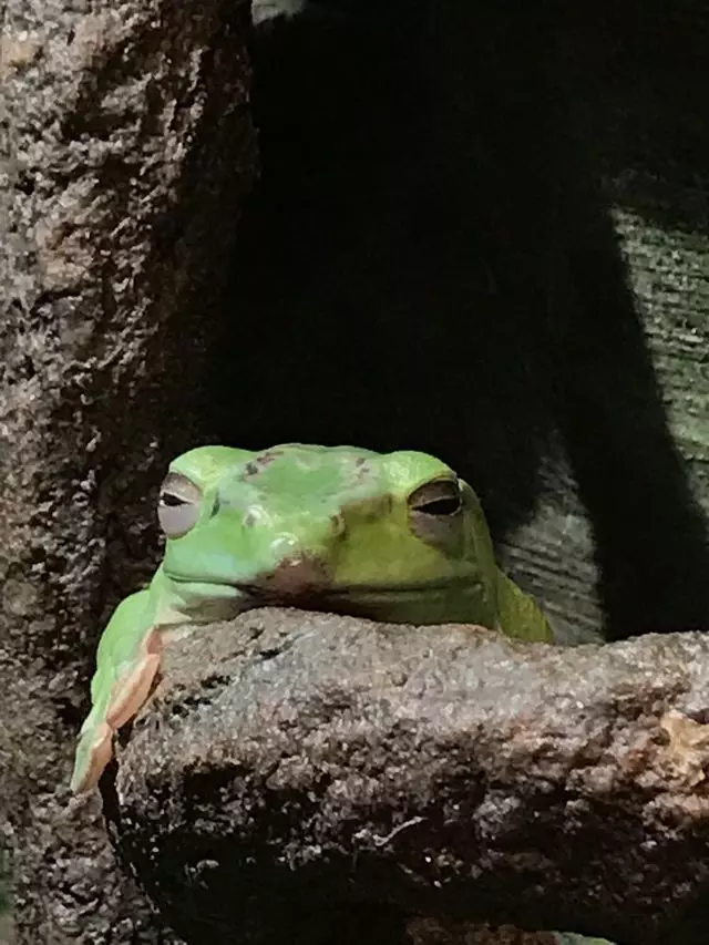 Academy of Natural Sciences