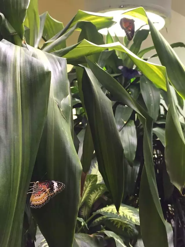 Academy of Natural Sciences