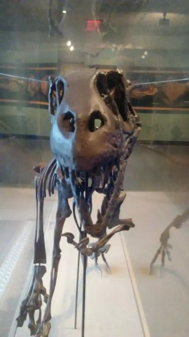 Academy of Natural Sciences