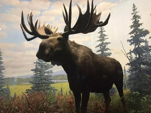 Academy of Natural Sciences