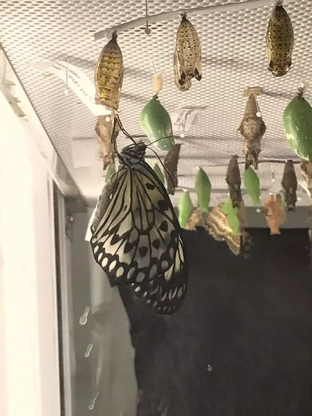 Academy of Natural Sciences