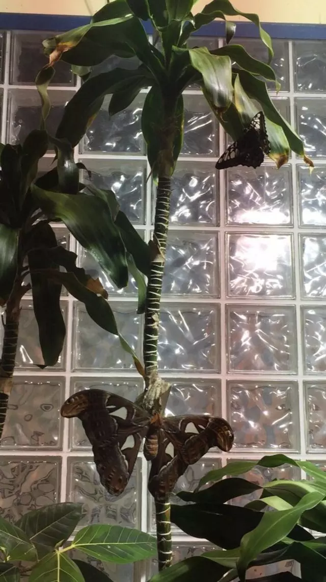 Academy of Natural Sciences