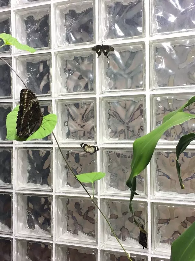 Academy of Natural Sciences