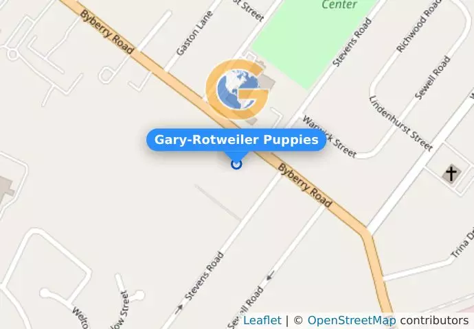 Gary-Rotweiler Puppies