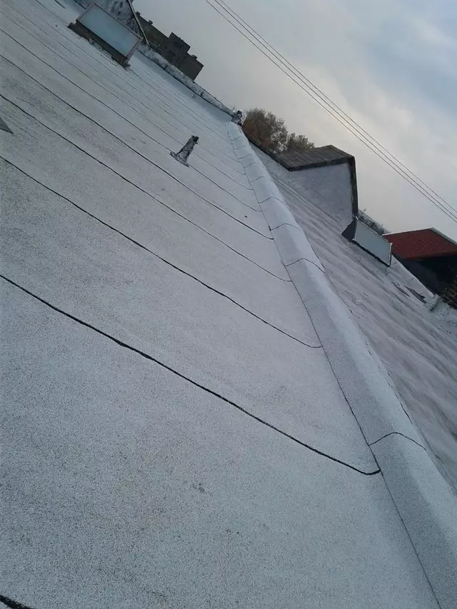 Adelphia Roofing Systems