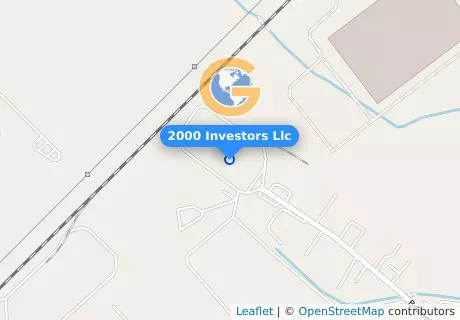 2000 Investors Llc