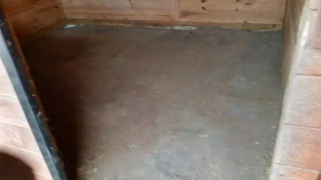 All Around Removal