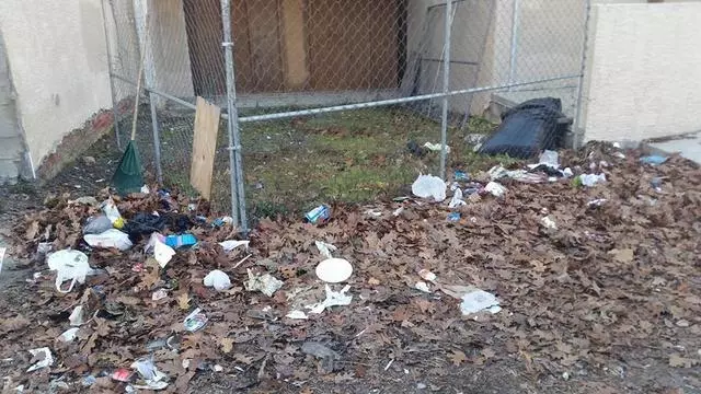 All Around Removal