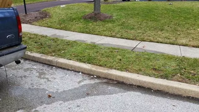 All Around Removal