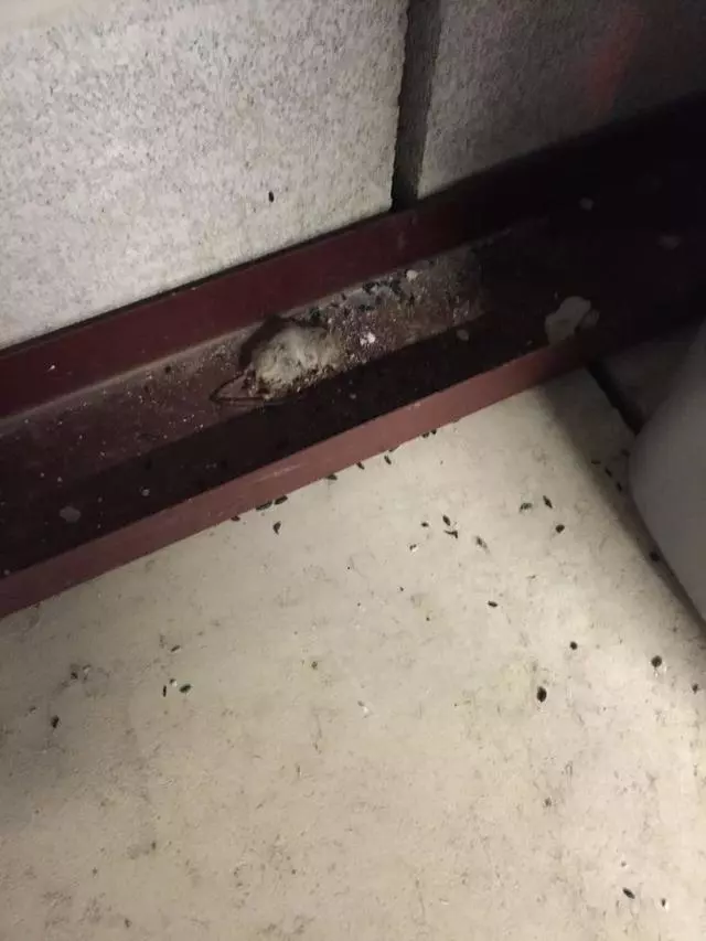 21st Century Storage