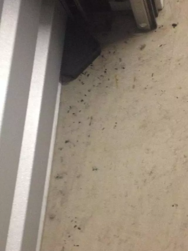21st Century Storage