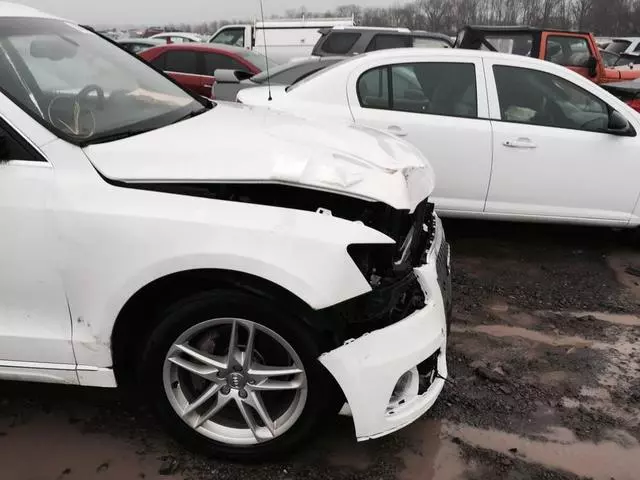 Automotive Collision & Service Experts