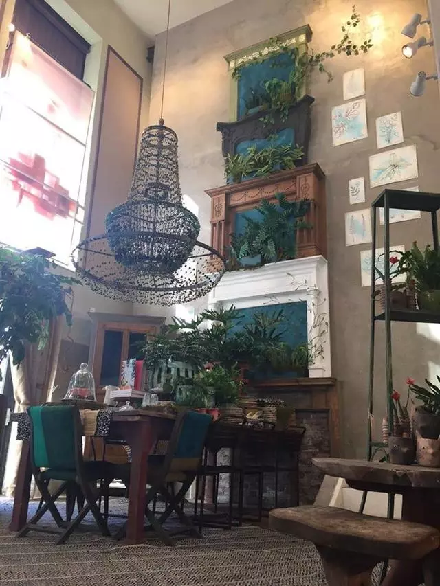 Anthropologie