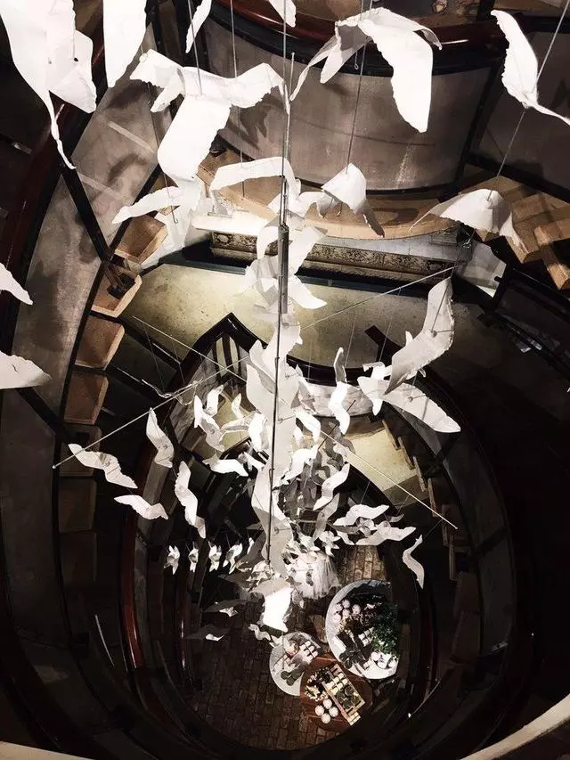 Anthropologie