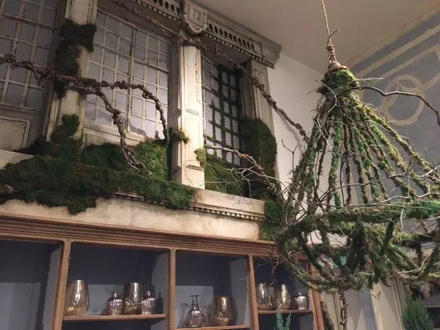 Anthropologie