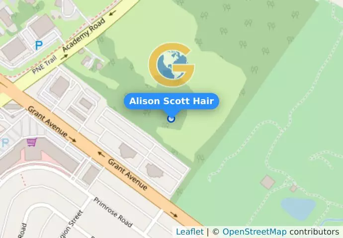 Alison Scott Hair