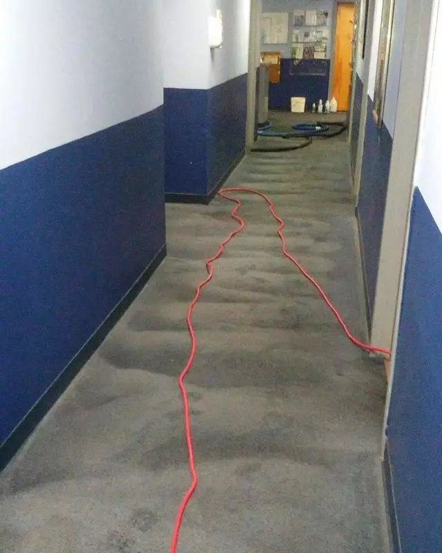 Andrews & Family Carpet Cleaning